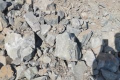 0360-scaled